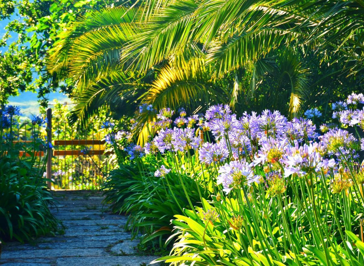 Quinta De San Amaro Rias Baixas Hotel Meaño Екстериор снимка